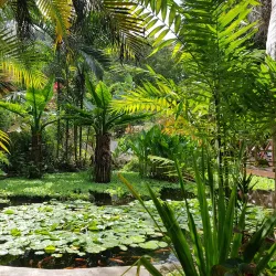 Andromeda Botanic Gardens - Baxters