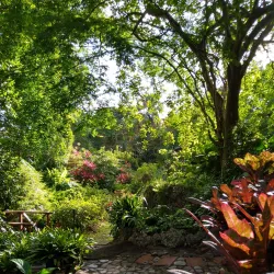 Andromeda Botanic Gardens - Baxters