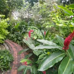 Andromeda Botanic Gardens - Baxters
