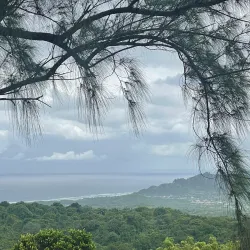 Farley Hill National Park - Baxters