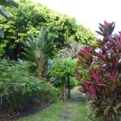 Andromeda Botanic Gardens - Church View