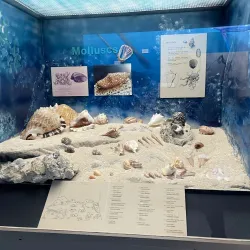 Barbados Museum & Historical Society - Church View