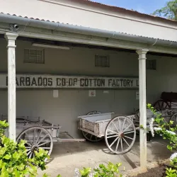 Barbados Museum & Historical Society - Church View