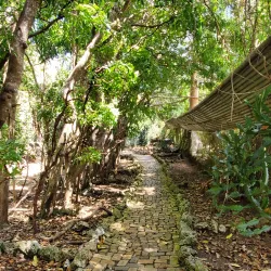 Barbados Wildlife Reserve - Church View