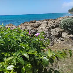 Local Craft Markets - Church View