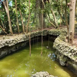 Barbados Wildlife Reserve - Clermont