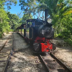 Cherry Tree Hill - Clermont