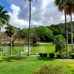 Codrington College - Clermont