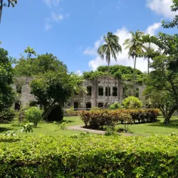 Farley Hill National Park - Clermont