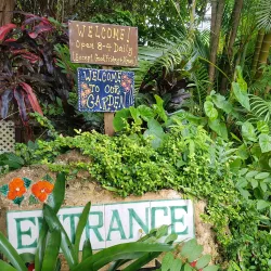 Flower Forest - Clermont