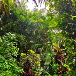 Flower Forest - Clermont