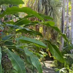Flower Forest - Clermont