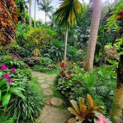 Hunte's Gardens - Clermont