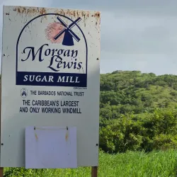 Morgan Lewis Windmill - Clermont