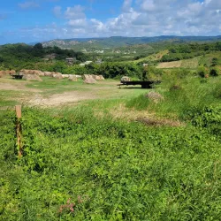 Morgan Lewis Windmill - Clermont