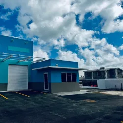 Carlisle Bay - Grazettes