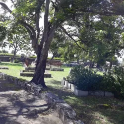 Christ Church Parish Church - Grazettes