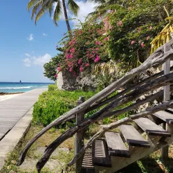 South Coast Boardwalk - Grazettes