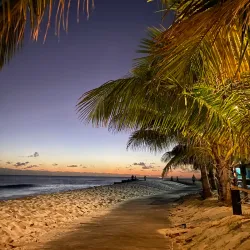 South Coast Boardwalk - Grazettes