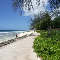 South Coast Boardwalk - Grazettes