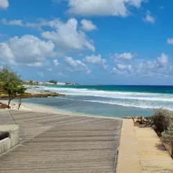 South Coast Boardwalk - Grazettes