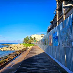 South Coast Boardwalk - Grazettes