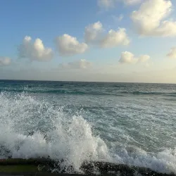 South Coast Boardwalk - Grazettes