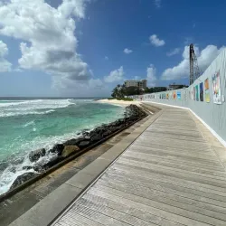 South Coast Boardwalk - Grazettes