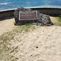 South Coast Boardwalk - Grazettes