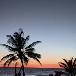 South Coast Boardwalk - Grazettes