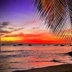 Holetown Boardwalk - Holetown