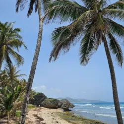 Holetown Boardwalk - Holetown