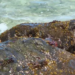 Holetown Boardwalk - Holetown