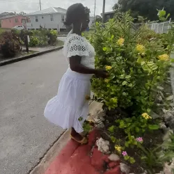 Holetown Boardwalk - Holetown