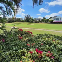 Royal Westmoreland Golf Course - Holetown