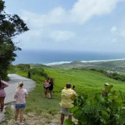 Cherry Tree Hill - Indian Ground