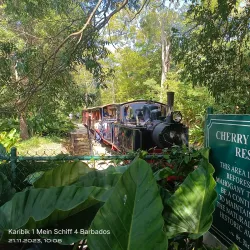 Cherry Tree Hill - Indian Ground