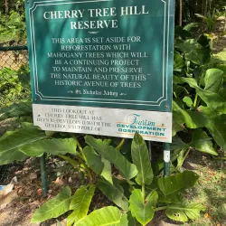 Cherry Tree Hill - Indian Ground