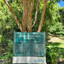 Cherry Tree Hill - Indian Ground