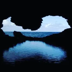 Animal Flower Cave - Lower Greys