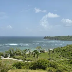 Bath Beach - Lower Greys