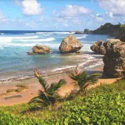 Bathsheba Beach - Lower Greys
