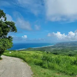 Cherry Tree Hill - Lower Greys