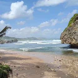Bathsheba Beach - Trents