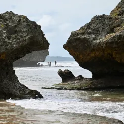 Bathsheba Beach - Trents
