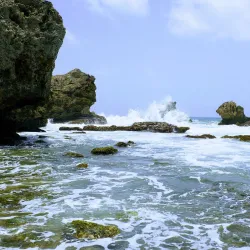 Bathsheba Beach - Trents