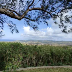 Farley Hill National Park - Trents