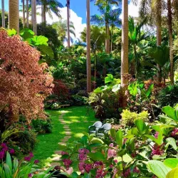 Hunte's Gardens - Trents