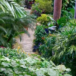 Hunte's Gardens - Trents