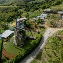 Morgan Lewis Windmill - Trents